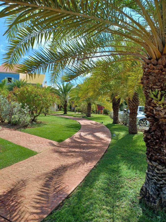 Appartement Superbe En Duplex En - Caye D'argent Le Gosier (Grande-Terre)